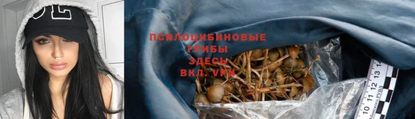 а пвп мука Алзамай