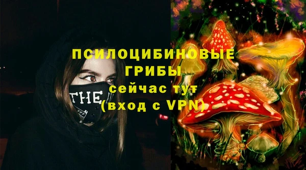 мяу мяу кристалл Алексин