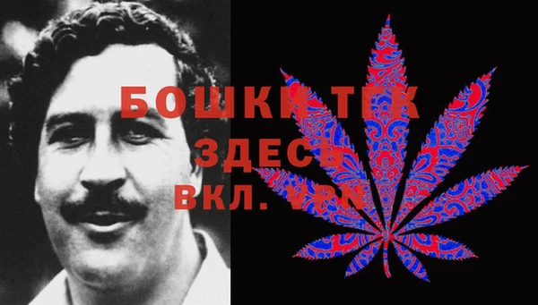 стаф Чита
