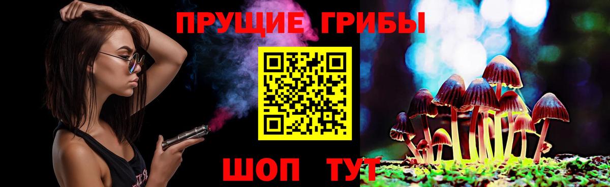 Сосновый Бор  Псилоцибиновые грибы GOLDEN TEACHER  Вход с VPN  Галлюциногенные грибы прущие грибы 
