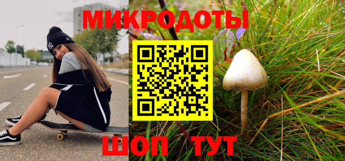 Галлюциногенные грибы ЛСД Сосновый Бор